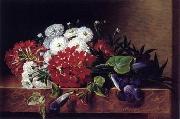 unknow artist Floral, beautiful classical still life of flowers.036 oil painting reproduction
